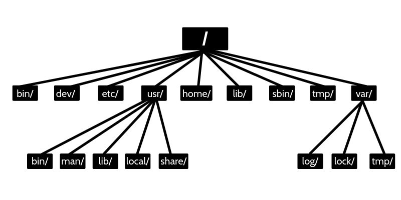 Explicaci n De La Estructura De Directorios De Linux