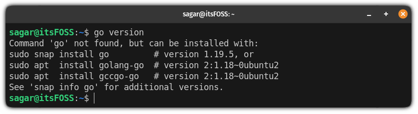 check go version in ubuntu