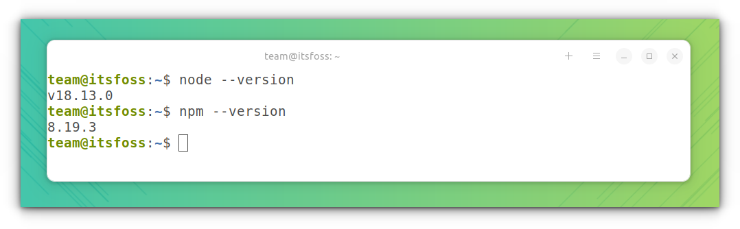 Node.js and NPM installed versions displayed in terminal