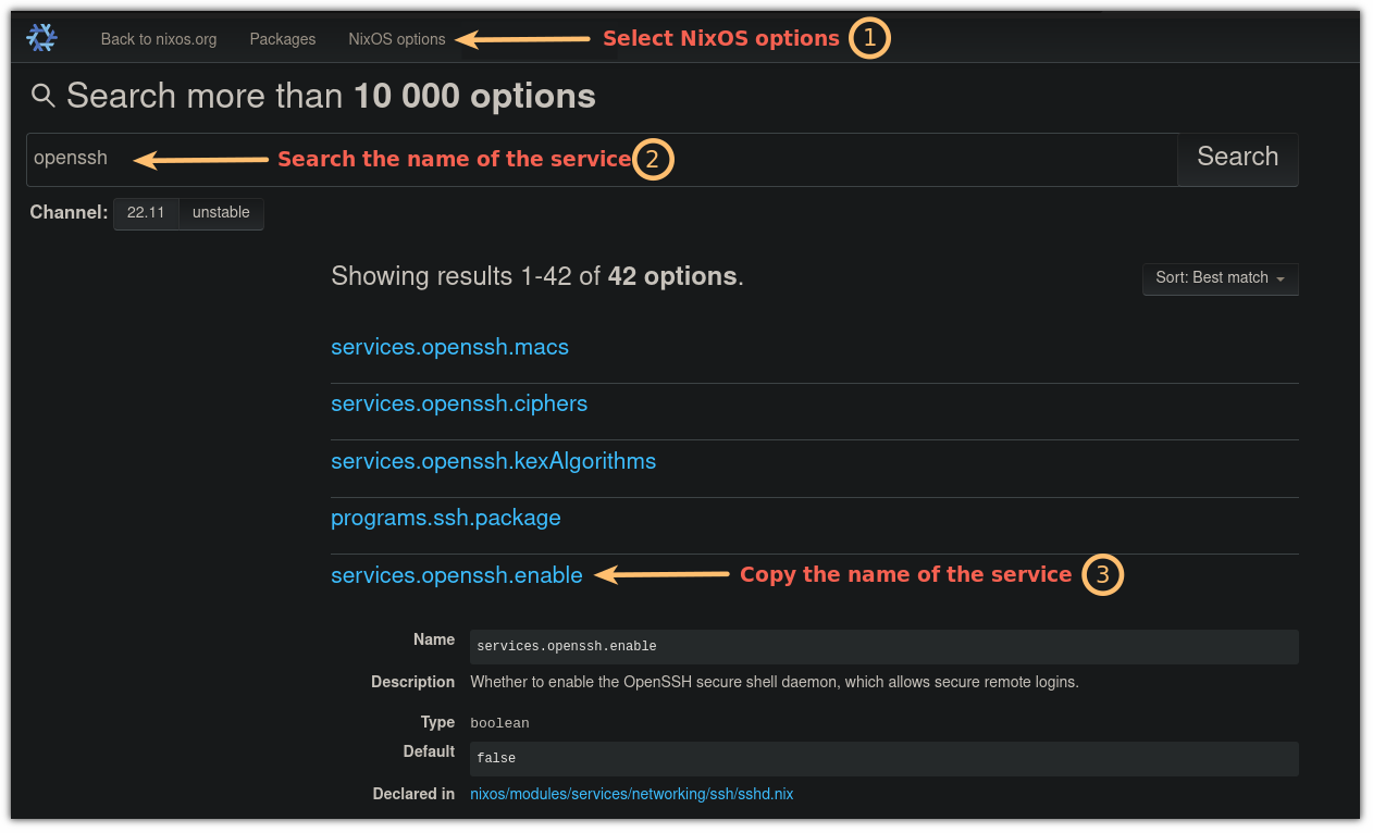 Rechercher le service pour nixos