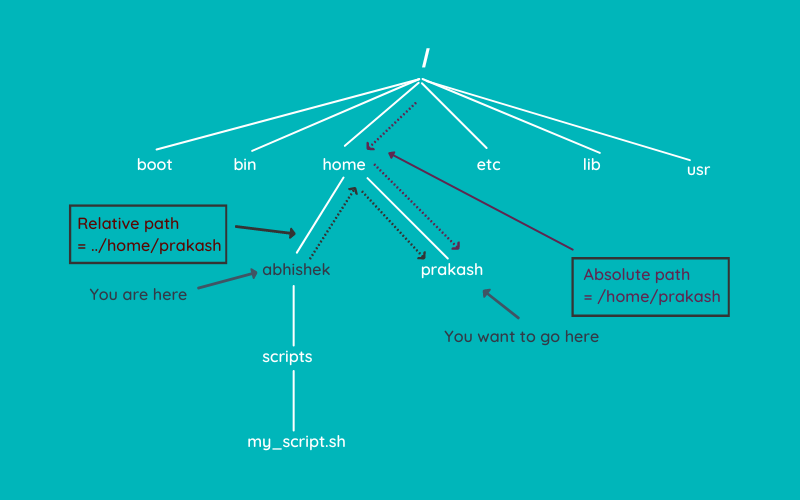 changing-directories-in-linux-terminal