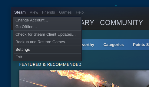 screenshot showing the steam account settings menu
