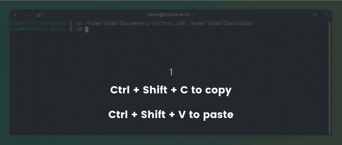 Use CTRL + Shift + C/V to copy/paste