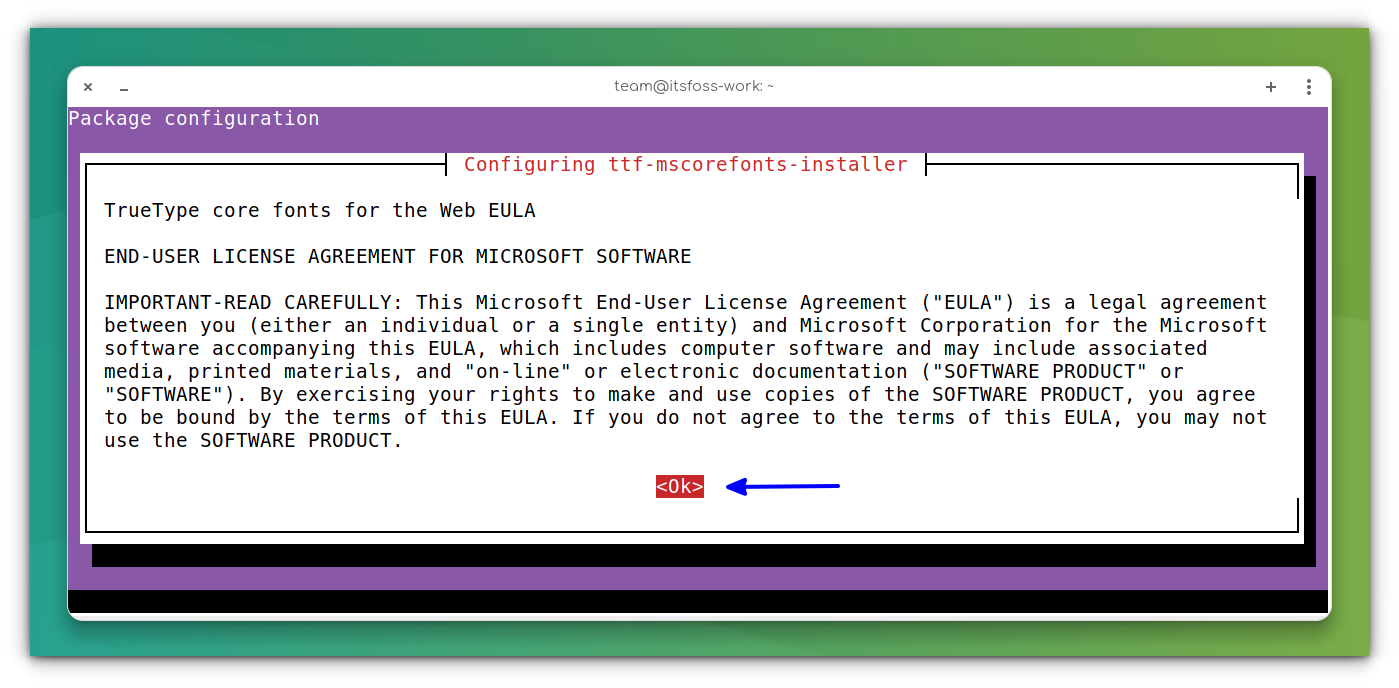 Accepting EULA While Installing Microsoft Fonts in Ubuntu