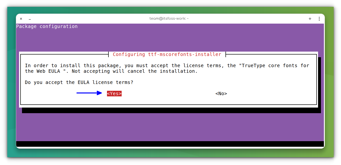 Accepting EULA While Installing Microsoft Fonts in Ubuntu