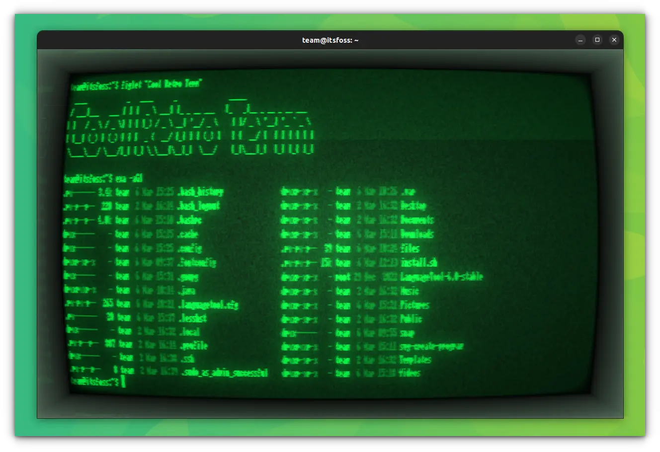 Cool Retro Term, a Cathode (CRT) Terminal for Linux : r/linux