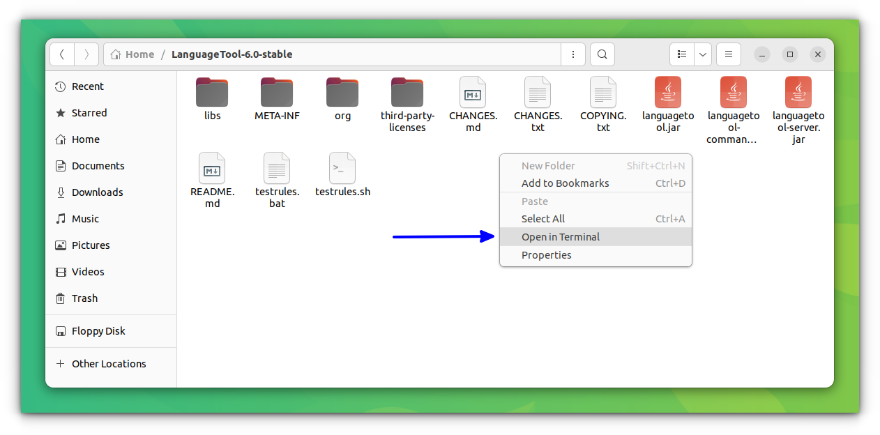 Right-click anywhere and select "open in terminal" inside the LanguageTool directory