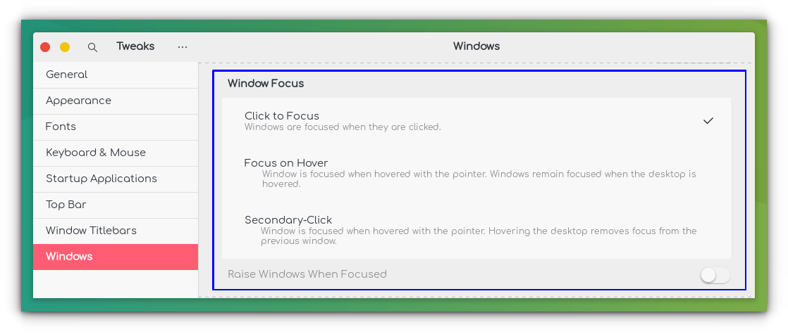 Windows Focus related settings in "Windows" tab of GNOME Tweaks