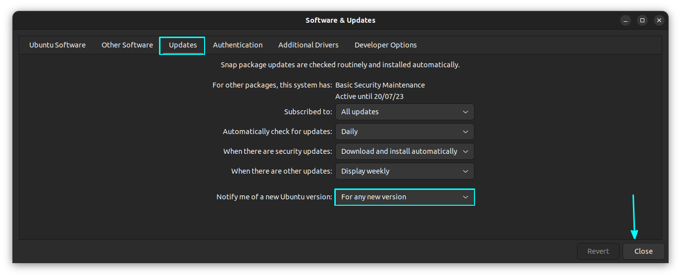 ubuntu new version update setting