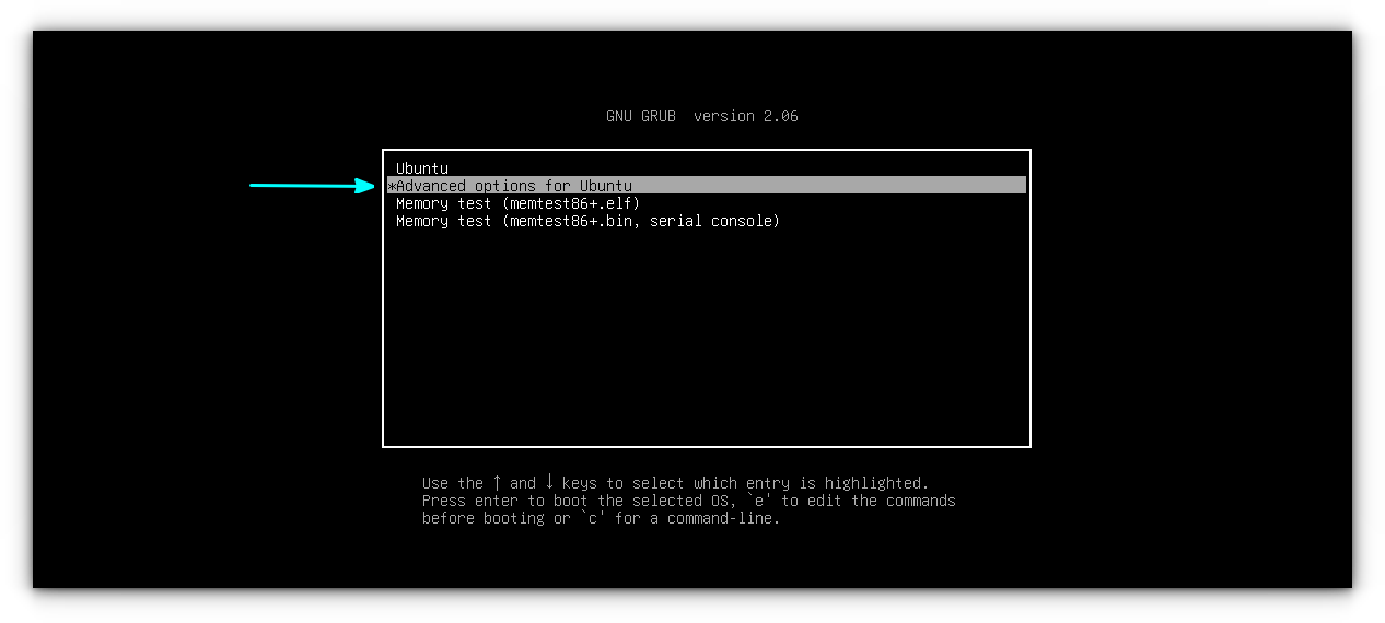 advanced options in grub screen ubuntu