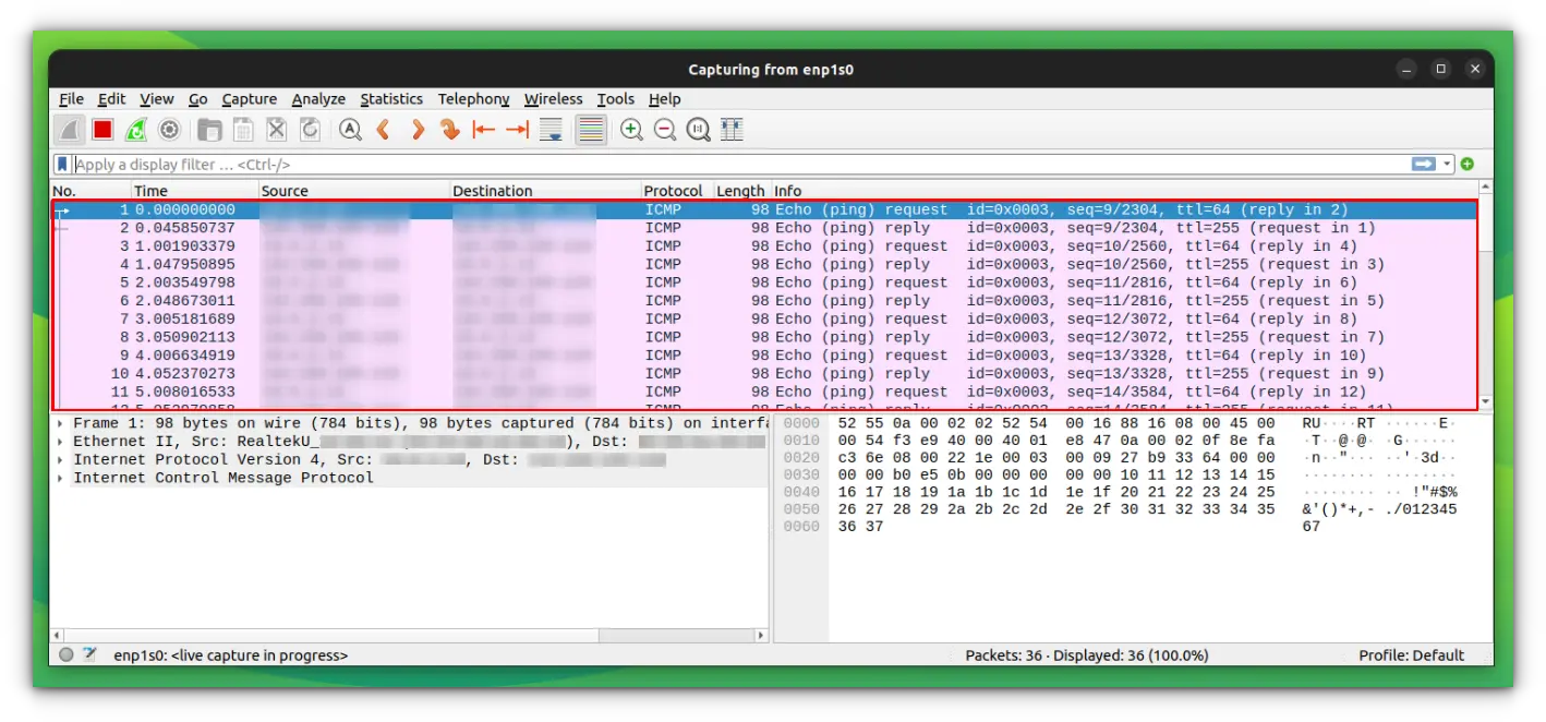 Packets captured, when a ping to google command is executed in terminal