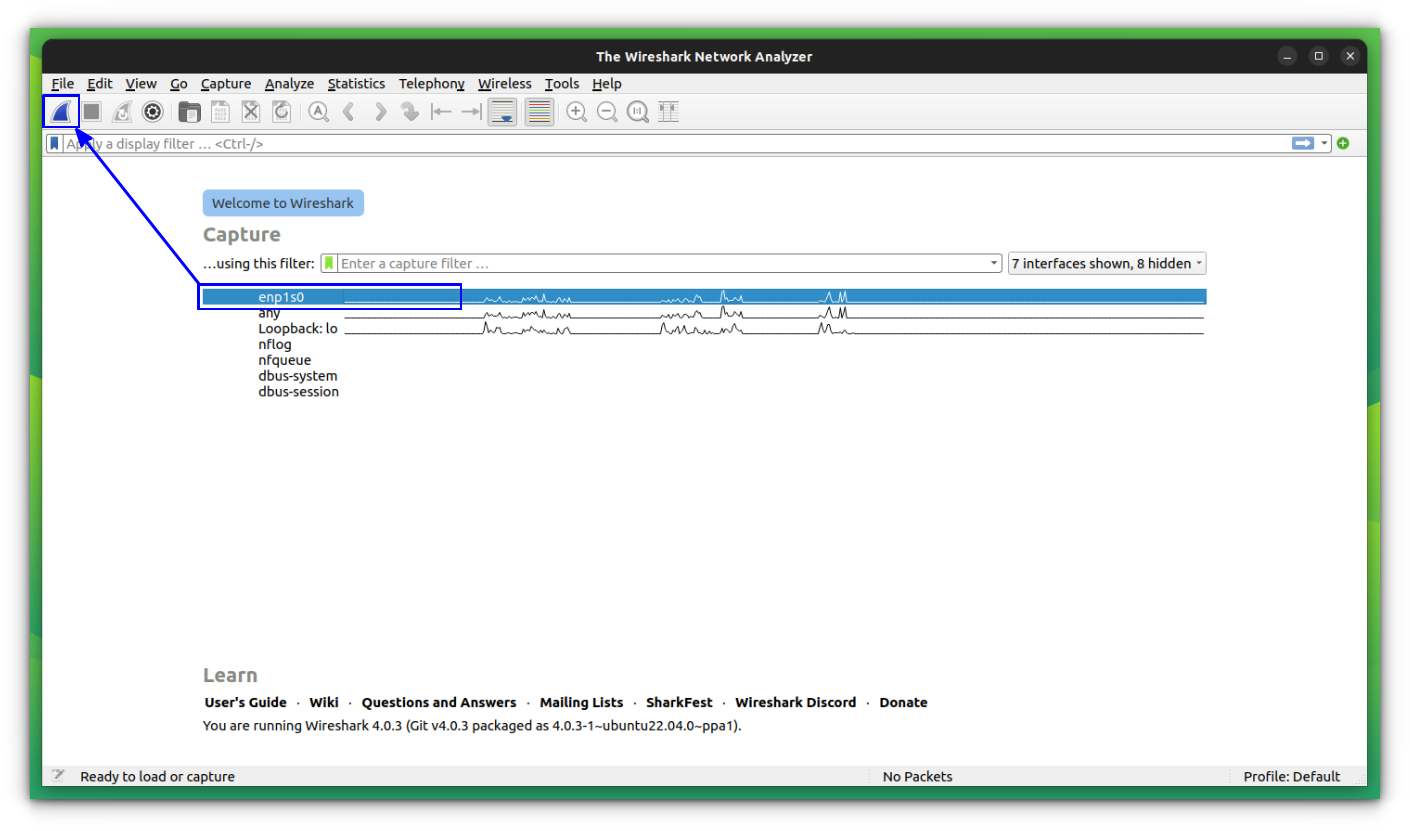 Monitor Selected Interface using Start Capture button