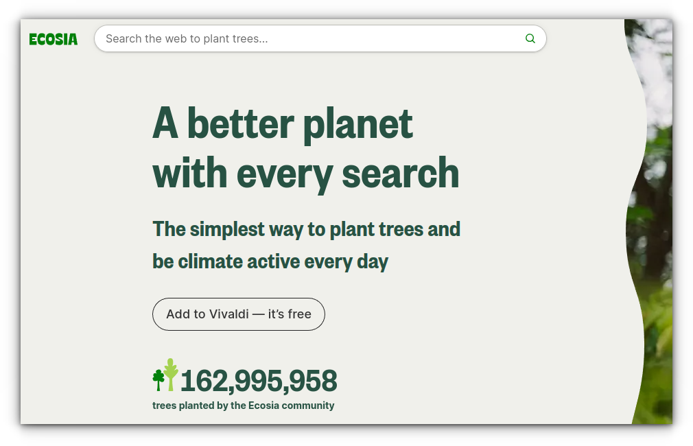 Ecosia privacy search engine
