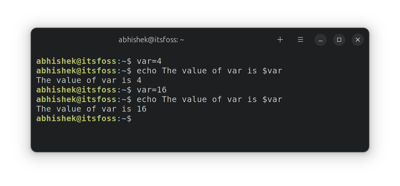 Using variables in shell
