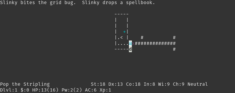 a screenshot of nethack