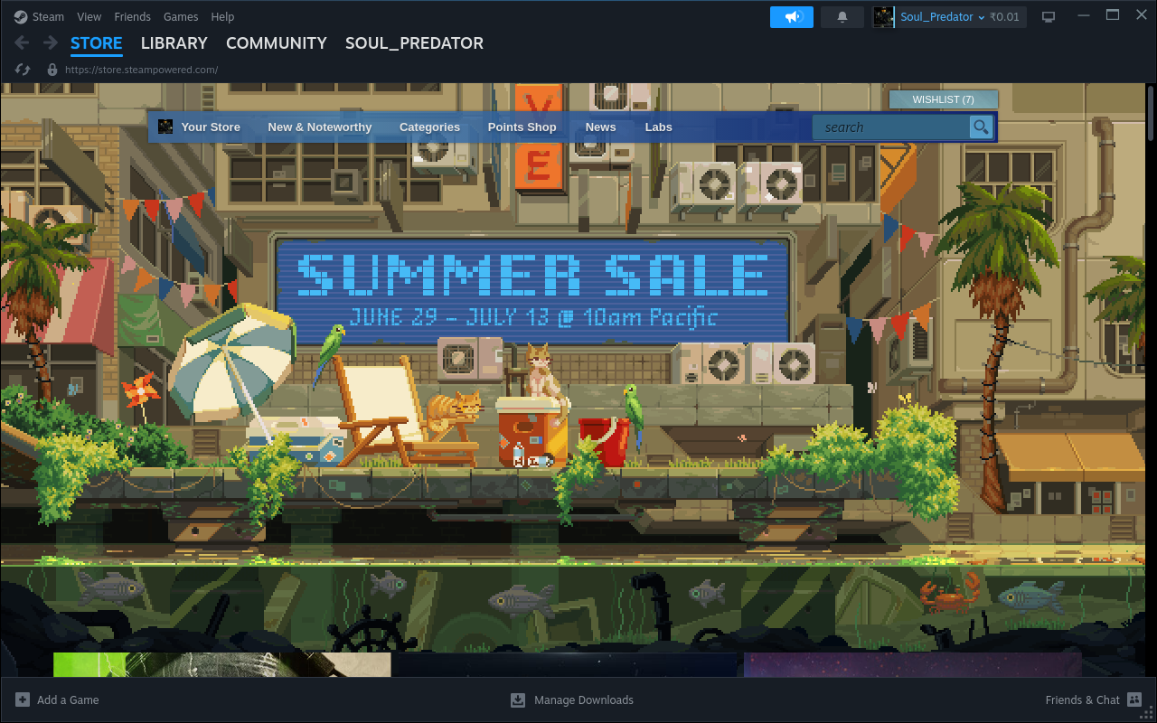 steam homescreen