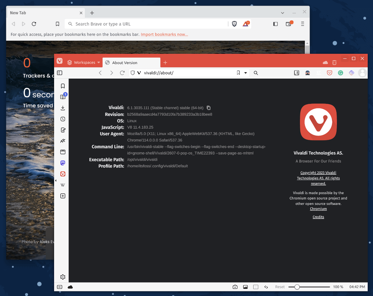 brave vs vivaldi user interface