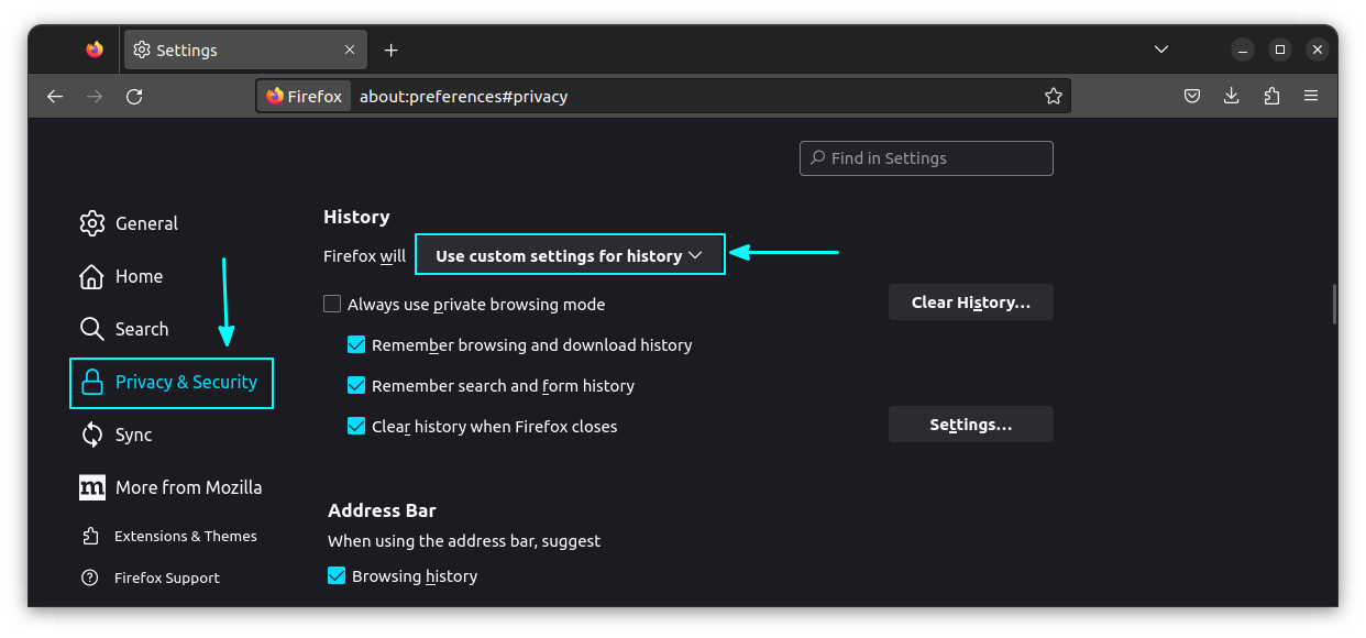 Under history section in Privacy and Security, select custom settings for history drop down item