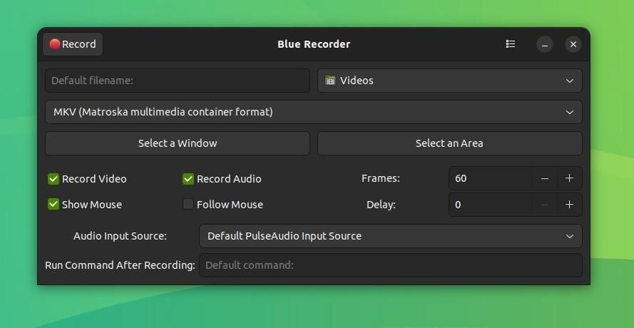 a screenshot of blue recorder