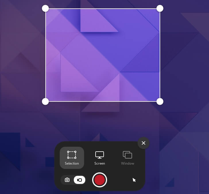 a screenshot of gnome's screen recorder