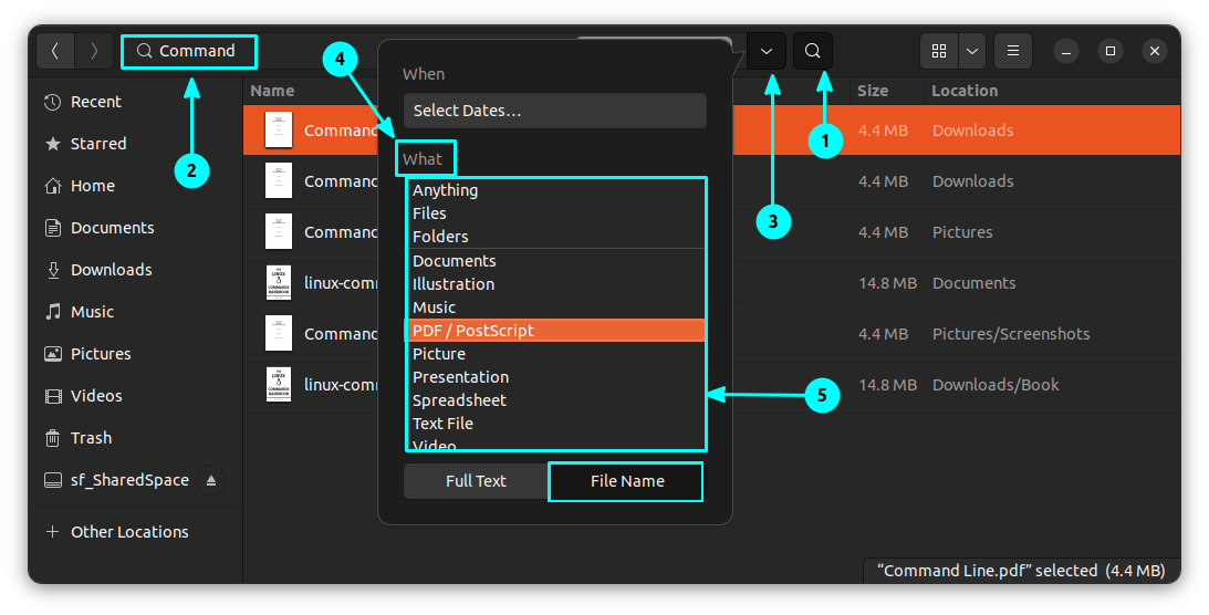 From the dropdown list of file types, select the file type you want