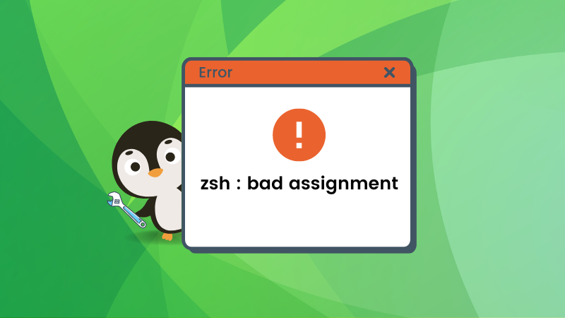 zsh bad assignment environment variable