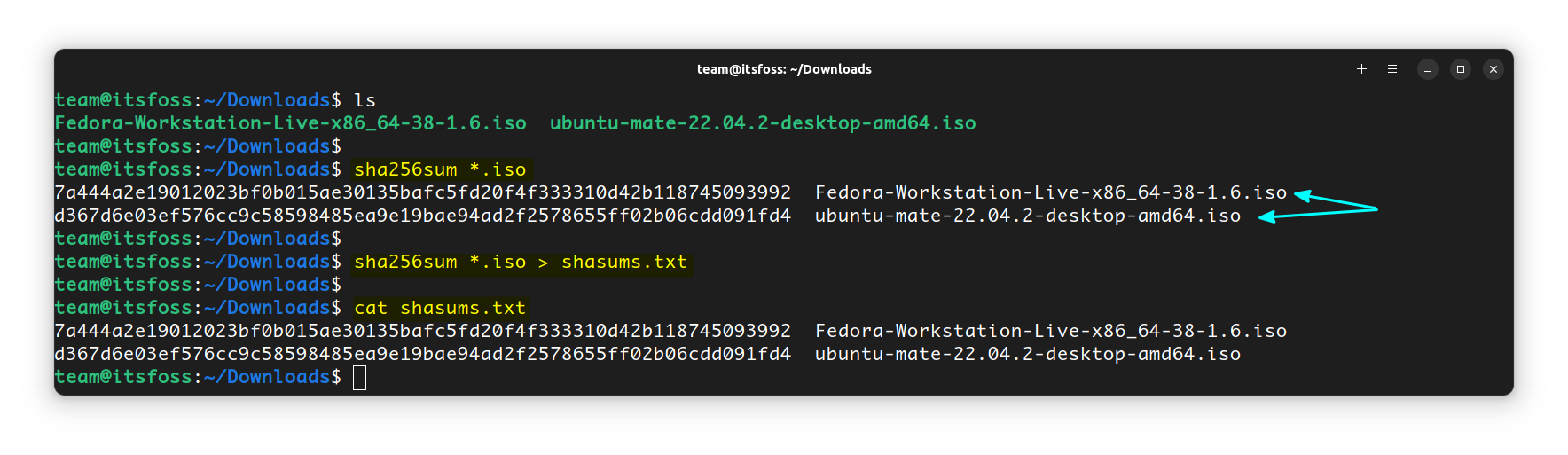 Checking multiple SHA values in Linux terminal. Later, these values are written to a text files.
