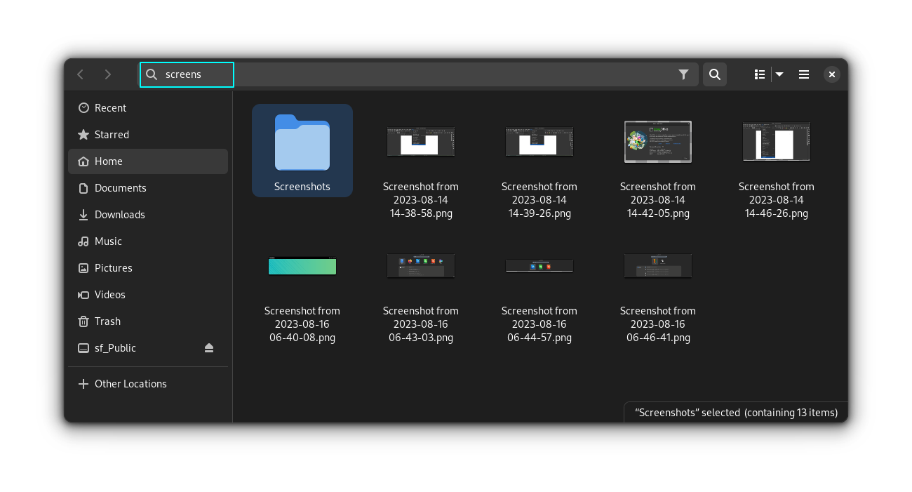 En cliquant sur l'icône du gestionnaire de fichiers sur la page des résultats de recherche de fichiers shell GNOME, vous obtiendrez une instance du gestionnaire de fichiers Nautilus en mode recherche.
