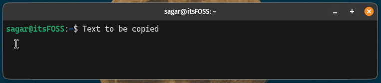 paste text in terminal