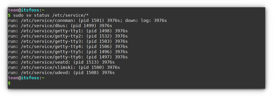 Get service status in Runit system using the sv command