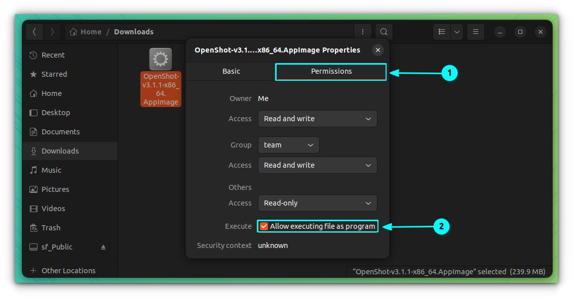 Activate “Allow executing file as a program” checkbox to make the AppImage file executable
