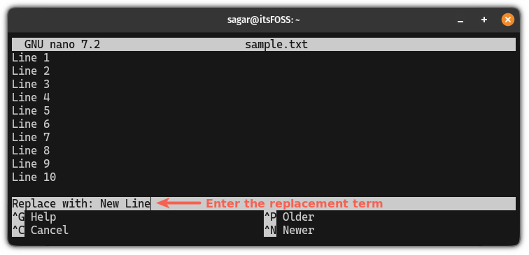 Enter the replacement term in the nano editor