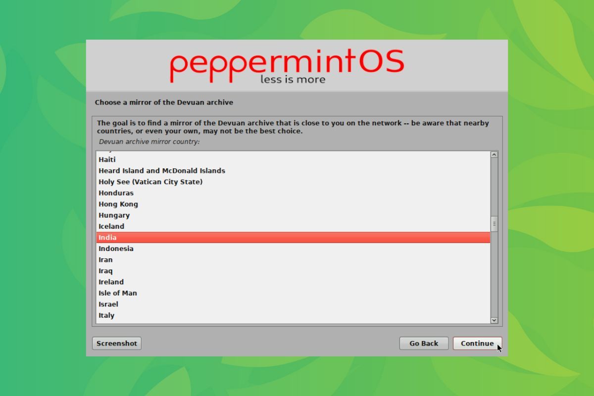 a screenshot of the peppermint mini installer