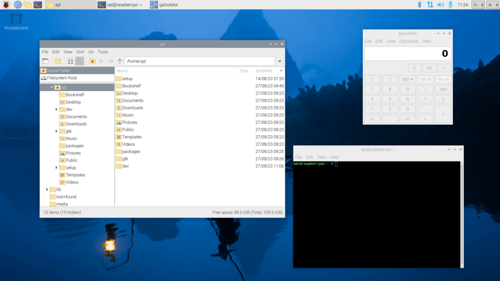 a screenshot of raspberry pi os