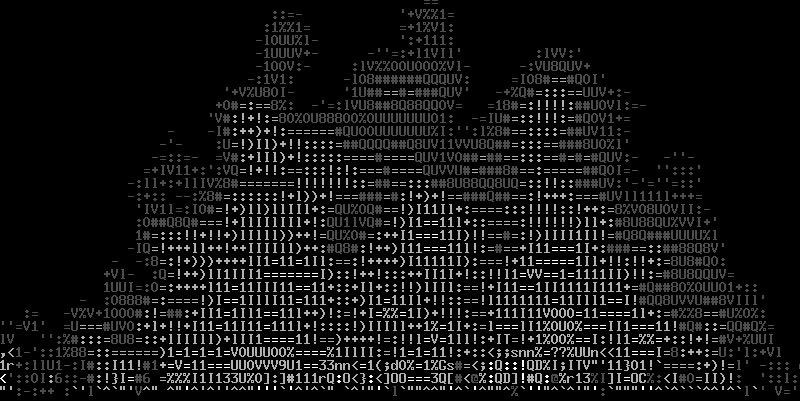 Get an ASCII Fire using the "aafire" Command
