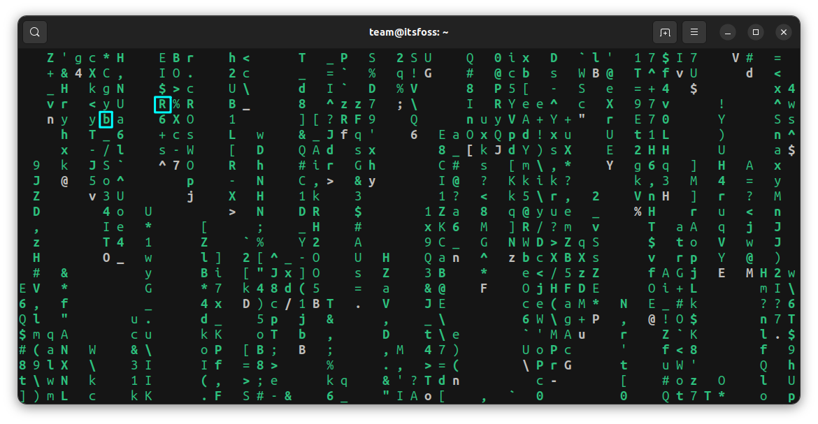 Cmatrix will show occasional bold letters if used with the small letter b option.