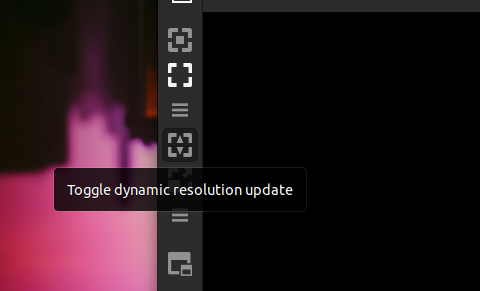 dynamic resolution update option