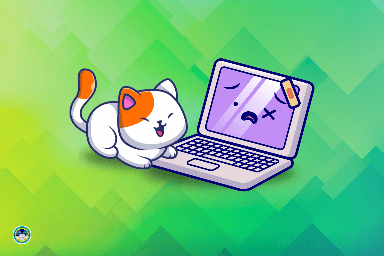 Welp! My cat destroyed the server!