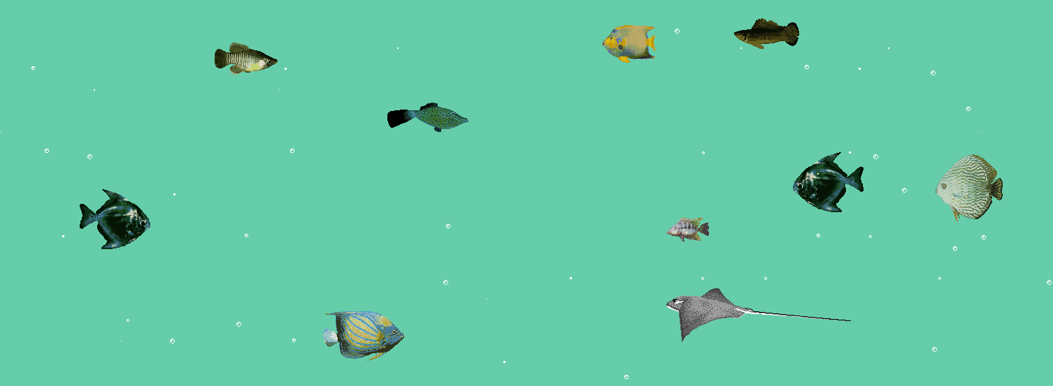 Running "xfishtank" command will give moving fish and bubbles on your screen
