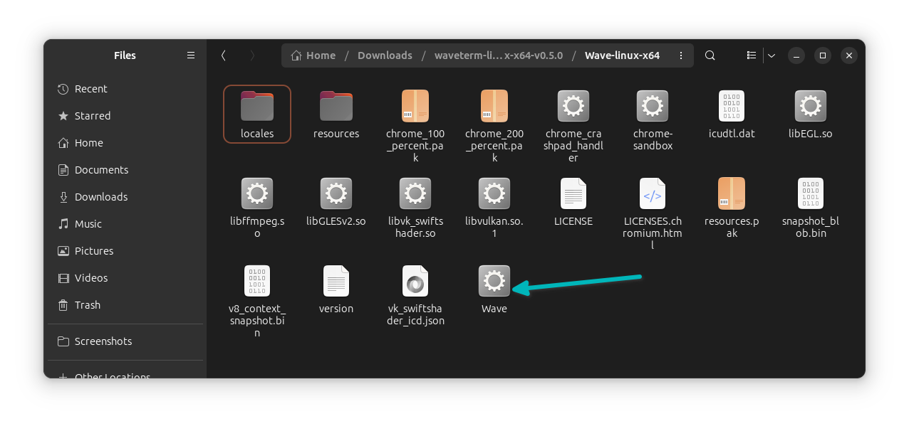 Wave terminal executable file