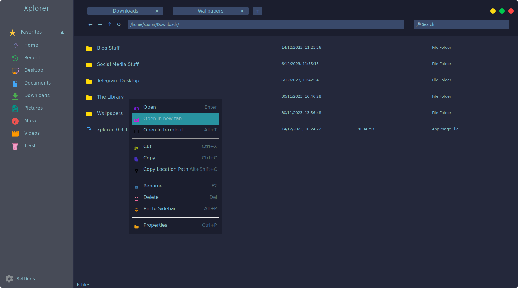 a screenshot of xplorer open in new tab feature