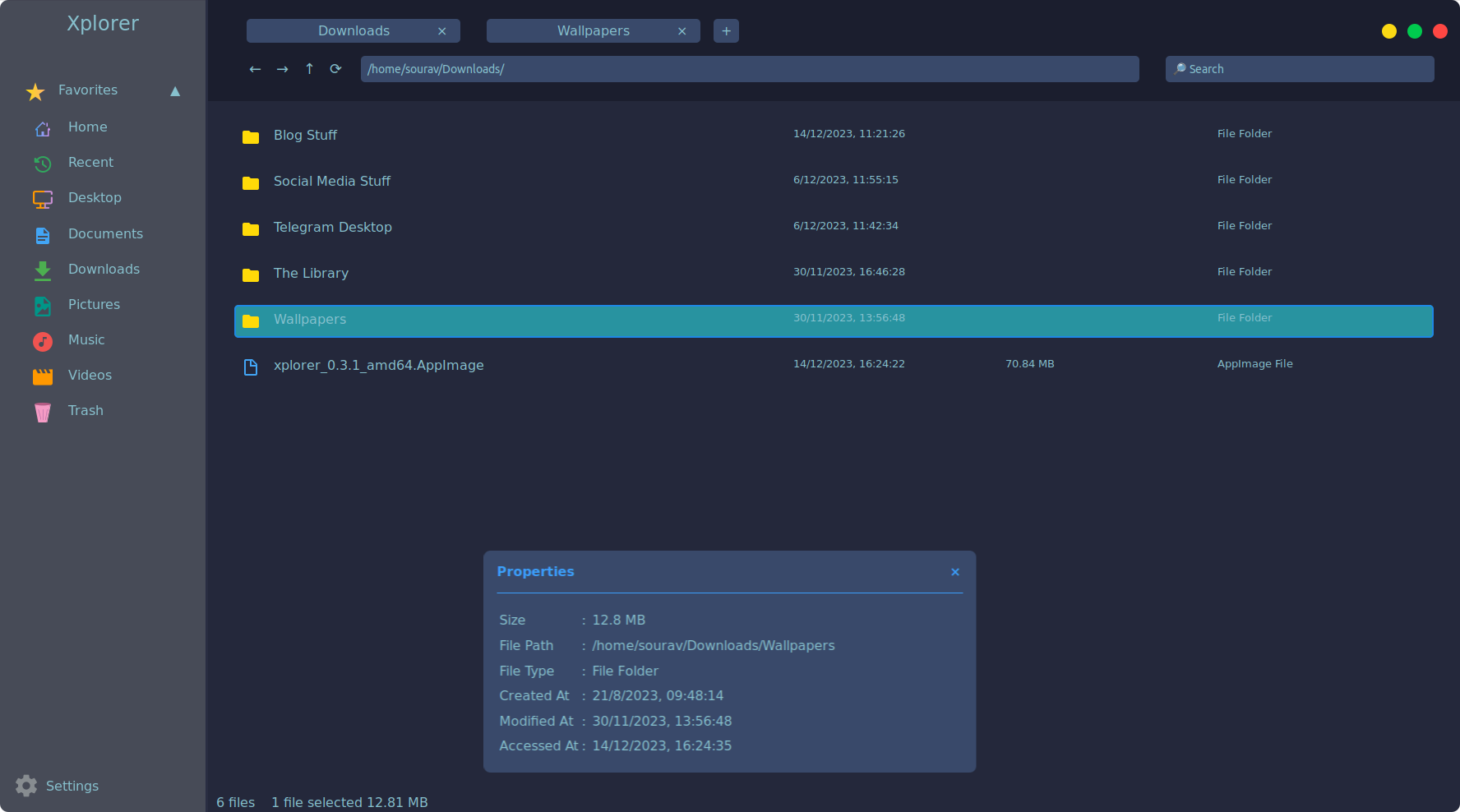a screenshot of xplorer file folder properties feature