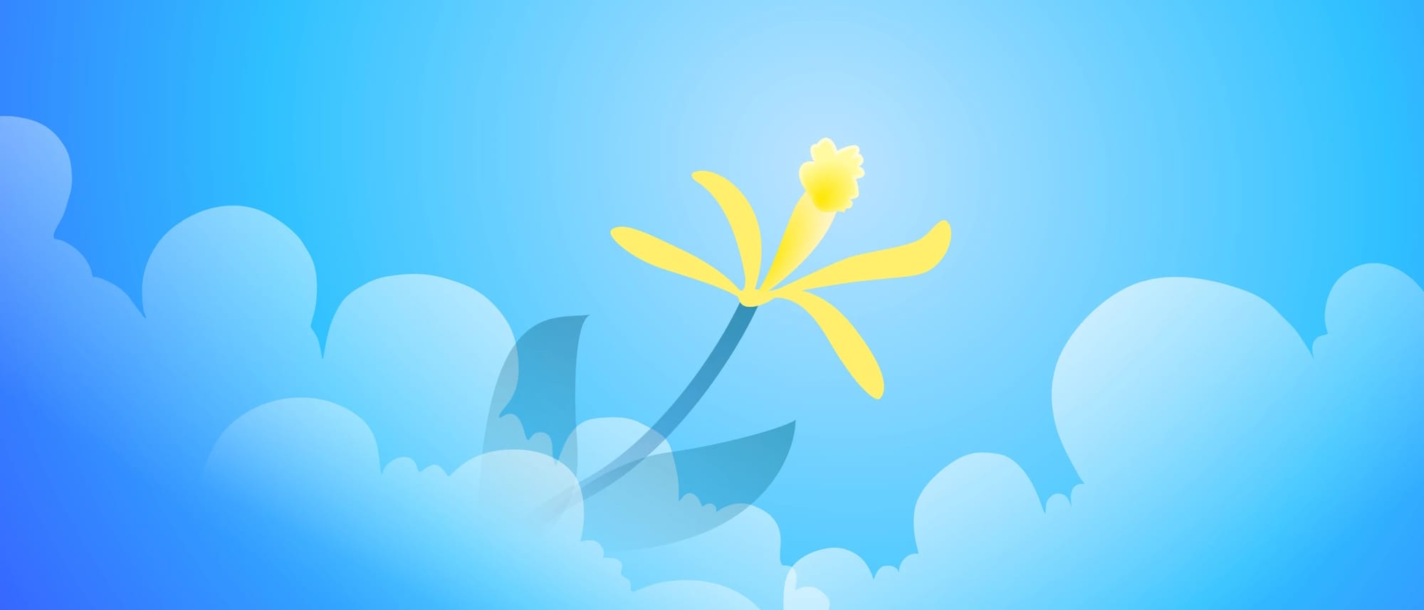 vanilla os orchid wallpaper