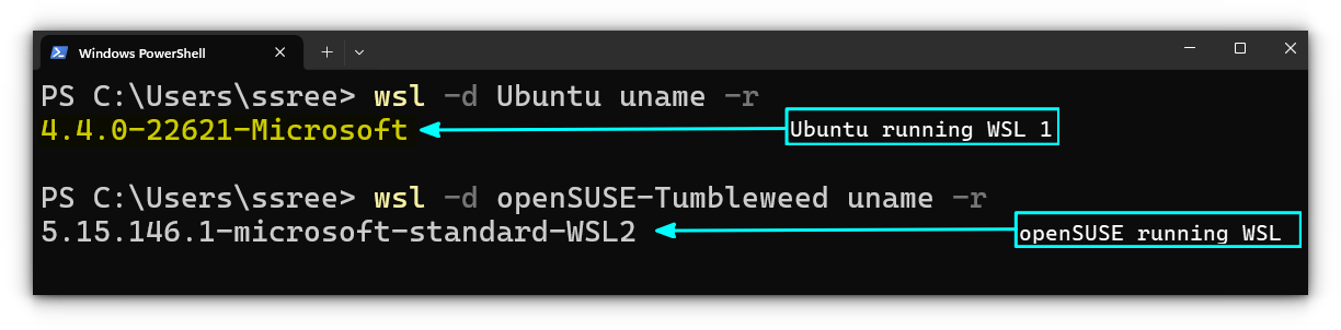 Checking the kernel version of installed WSL distributions from Windows terminal