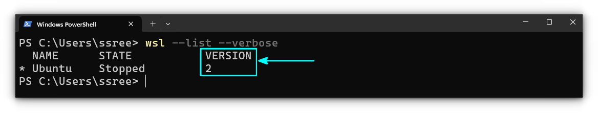 List the distributions and the WSL version they are running in Windows terminal.