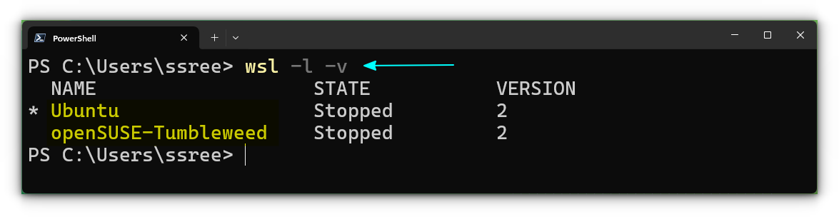 List the installed distributions in WSL. The verbose option will give you the details of each installed distribution as well.