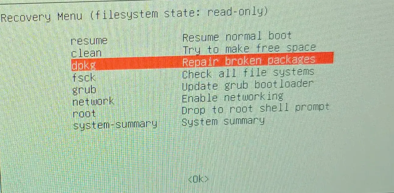 Go to dpkg repair broken packages option
