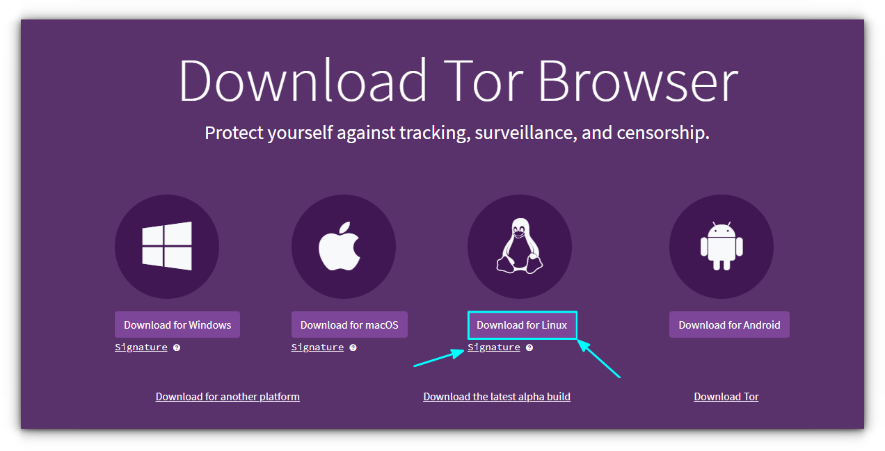 Download the Tor Browser Archive file and signature for Linux