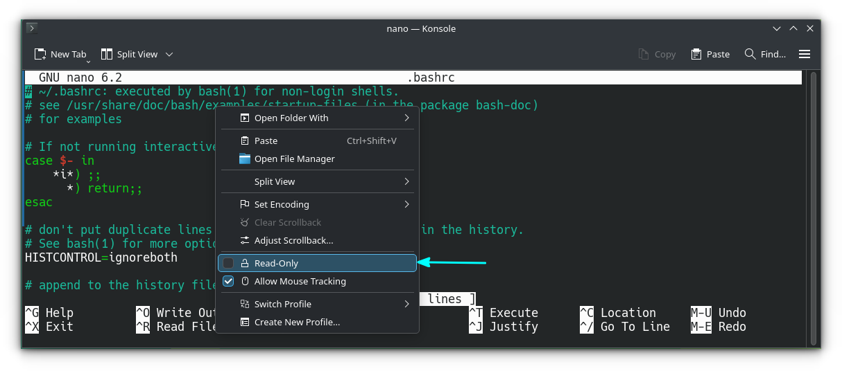 Make a terminal read only in Konsole