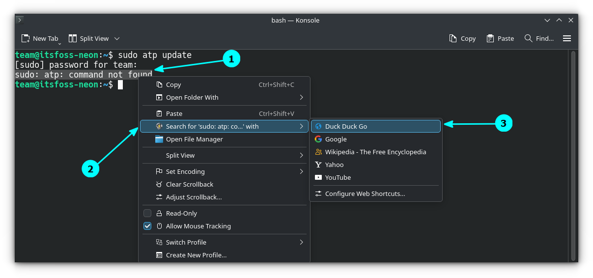 Search for terminal output meaning from the terminal